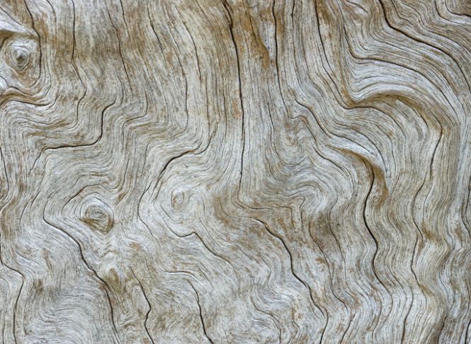 Green Kite Wooden Wall