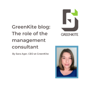 The role of management consultant